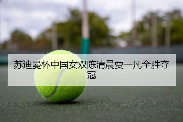 苏迪曼杯中国女双陈清晨贾一凡全胜夺冠